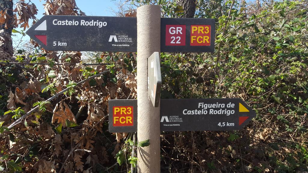 Hospedaria Do Convento D'Aguiar- Turismo De Habitacao 菲盖拉迪卡斯特卢罗德里古 外观 照片